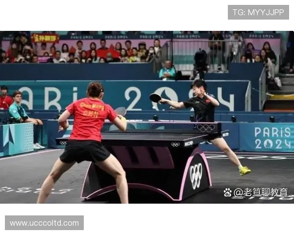 乒乓球战术解析：探秘北京乒乓球队的整体压制与协同体系